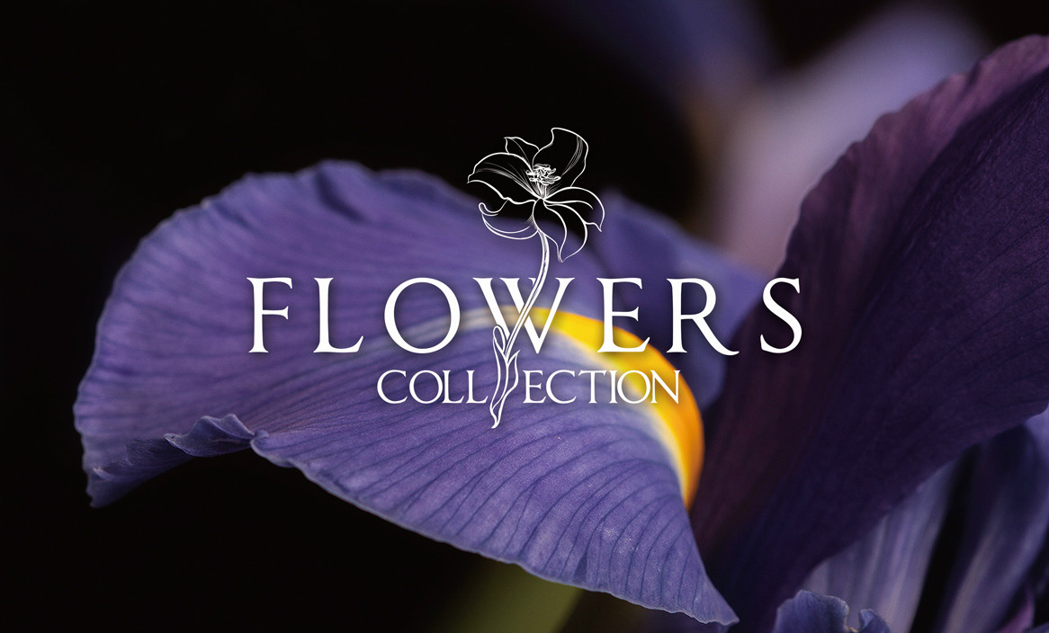 企业为什么要做品牌形象设计? 企业为什么要做品牌形象设计?